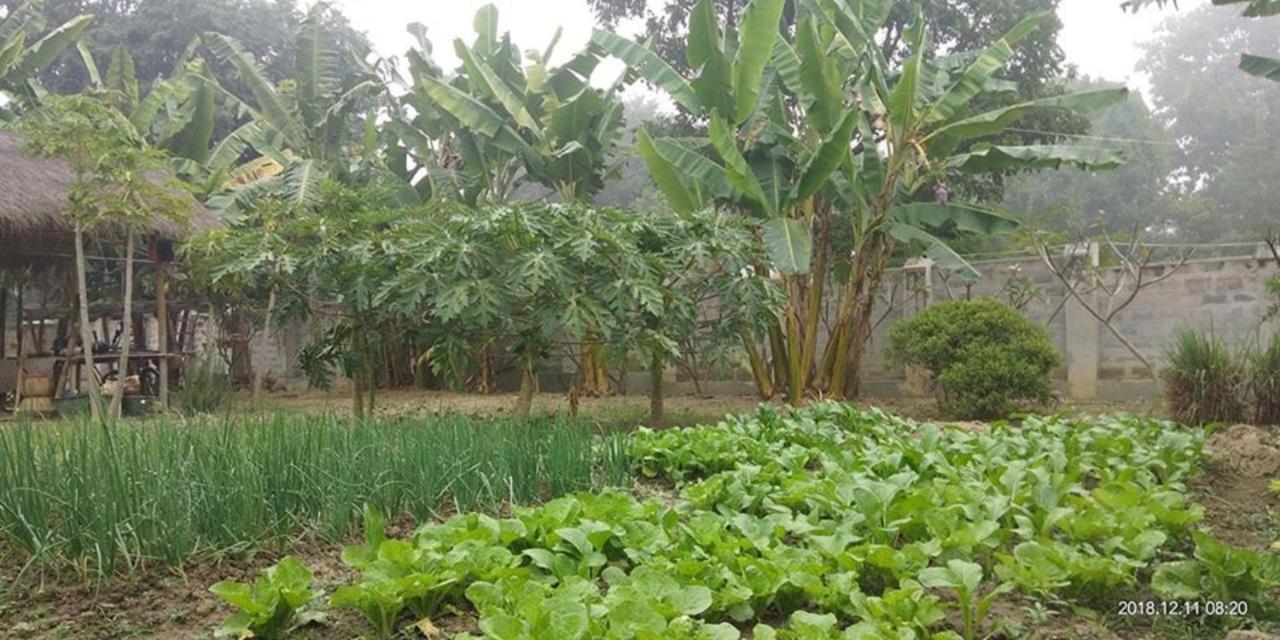 Blue Vanda Lodge Nyaung Shwe Εξωτερικό φωτογραφία
